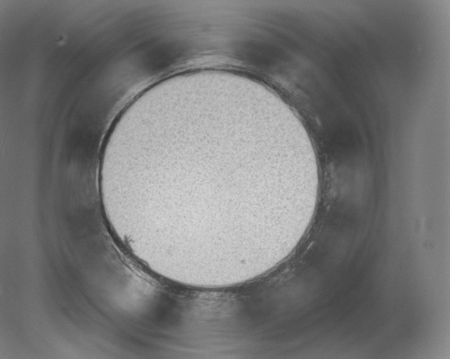 X0000080181322200701051647