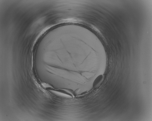 X0000080181323200701051647