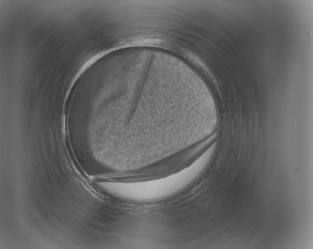 X0000080181324200701051647