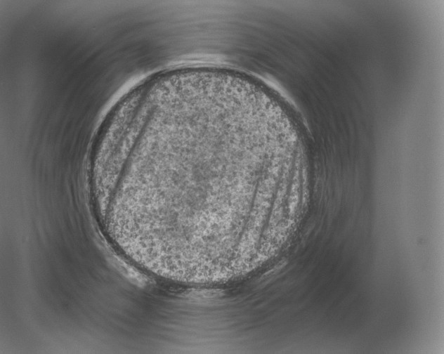 X0000080181325200701051647