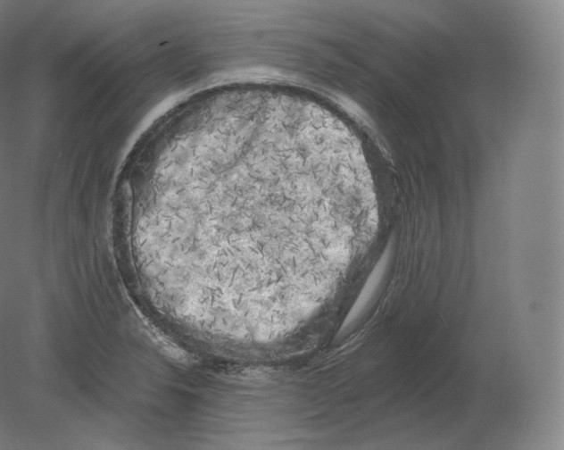 X0000080181326200701051647