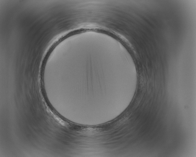 X0000080181327200701051647