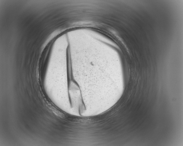 X0000080181328200701051647