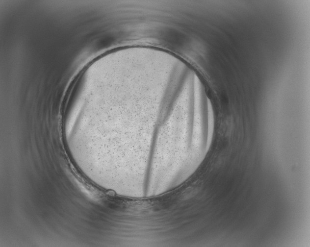 X0000080181332200701051647