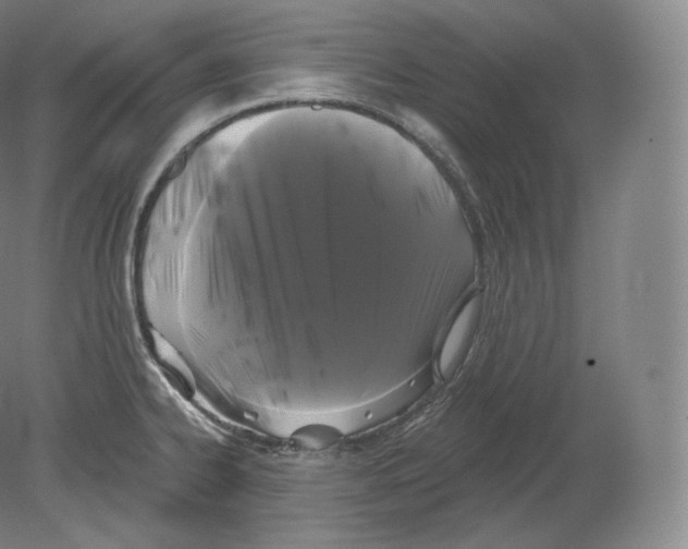 X0000080181334200701051647