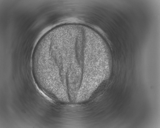 X0000080181335200701051647