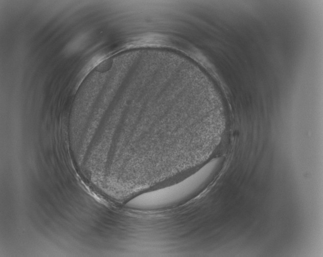 X0000080181337200701051647