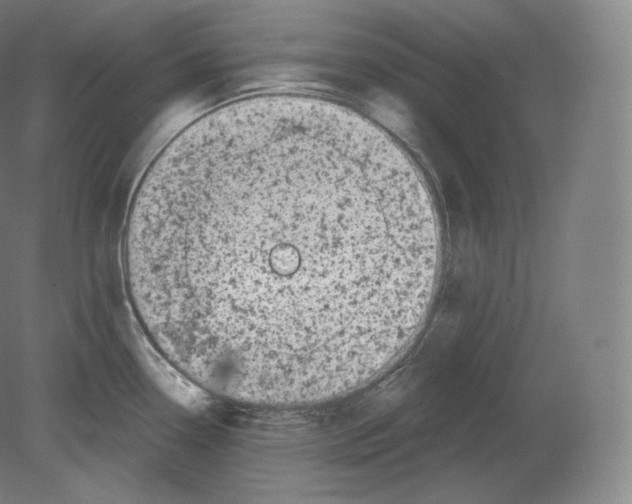 X0000080181338200701051647