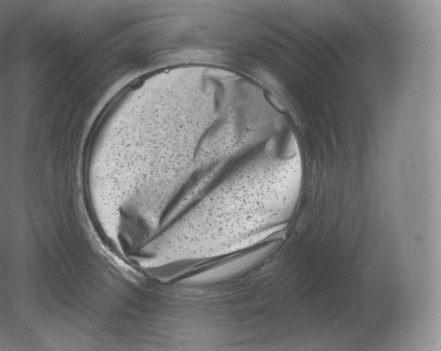 X0000080181339200701051647