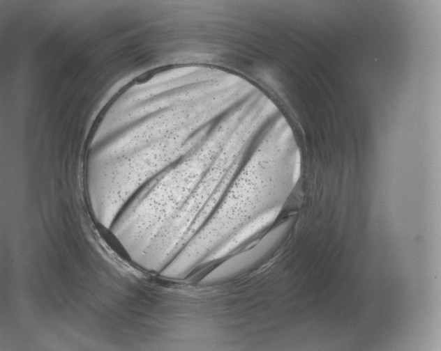 X0000080181340200701051647