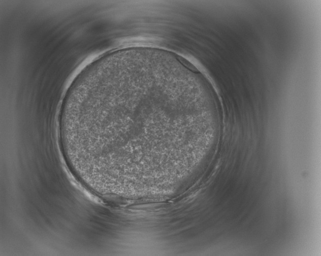 X0000080181341200701051647