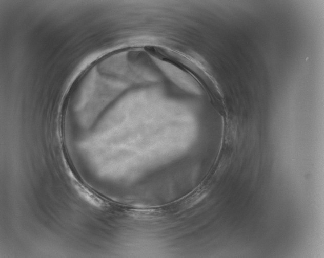 X0000080181342200701051647