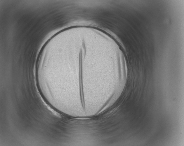 X0000080181343200701051647