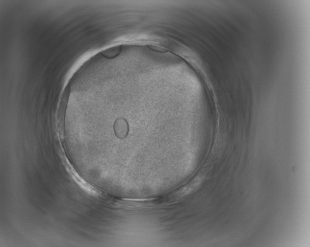 X0000080181344200701051647