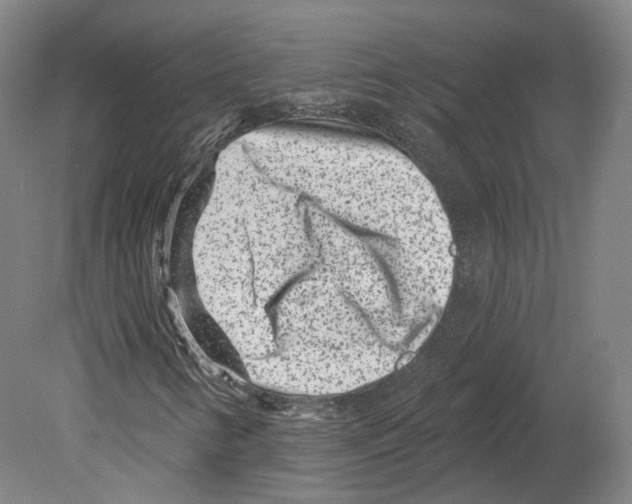 X0000080181346200701051646