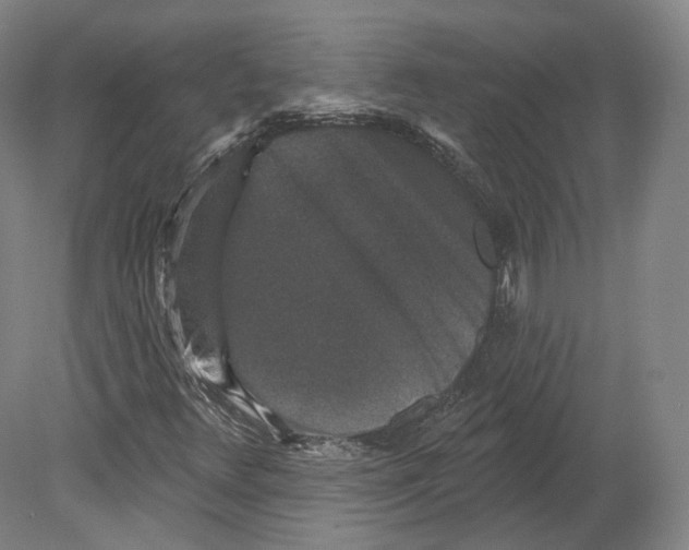 X0000080181348200701051646