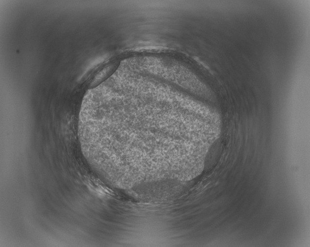 X0000080181351200701051646