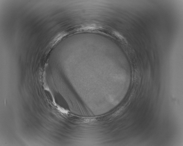 X0000080181353200701051646