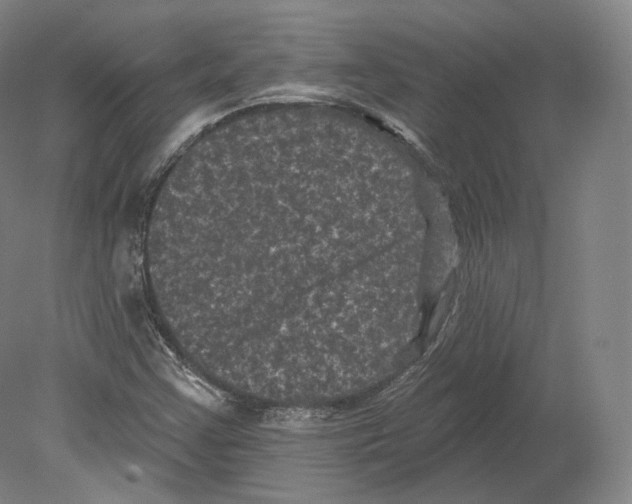 X0000080181355200701051646