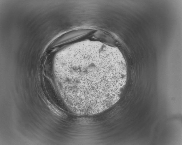 X0000080181356200701051646