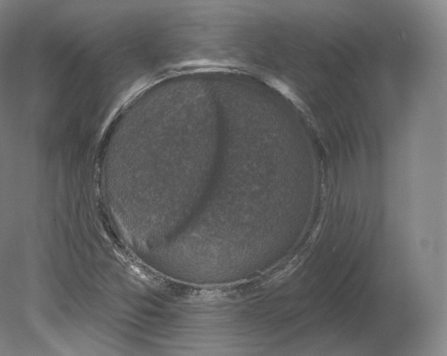 X0000080181357200701051646