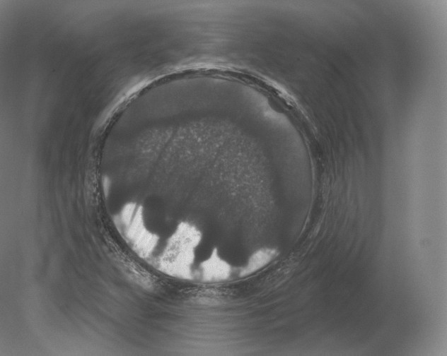 X0000080181359200701051646