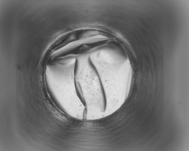 X0000080181360200701051646