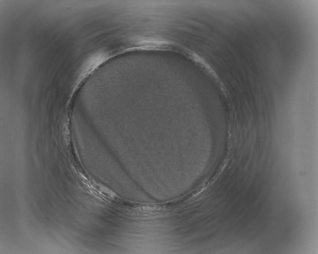 X0000080181362200701051646