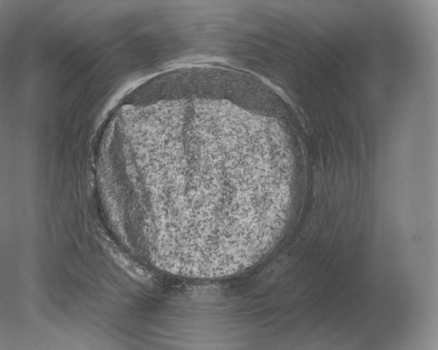 X0000080181363200701051646