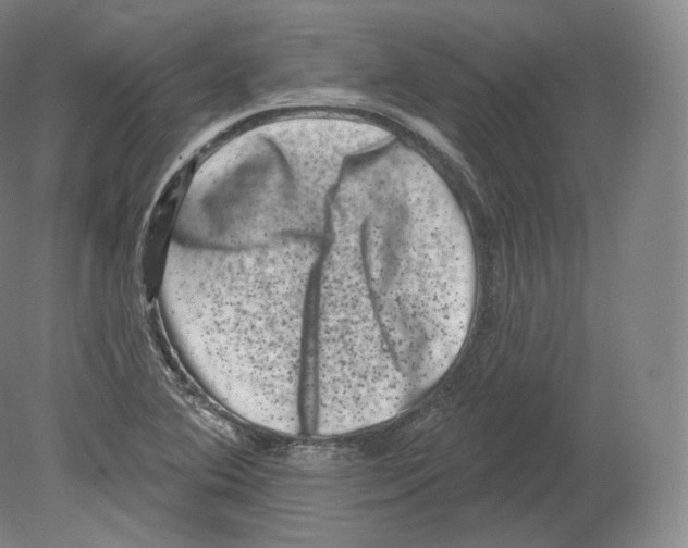 X0000080181364200701051646