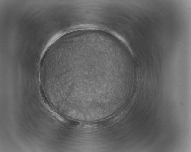 X0000080181365200701051646