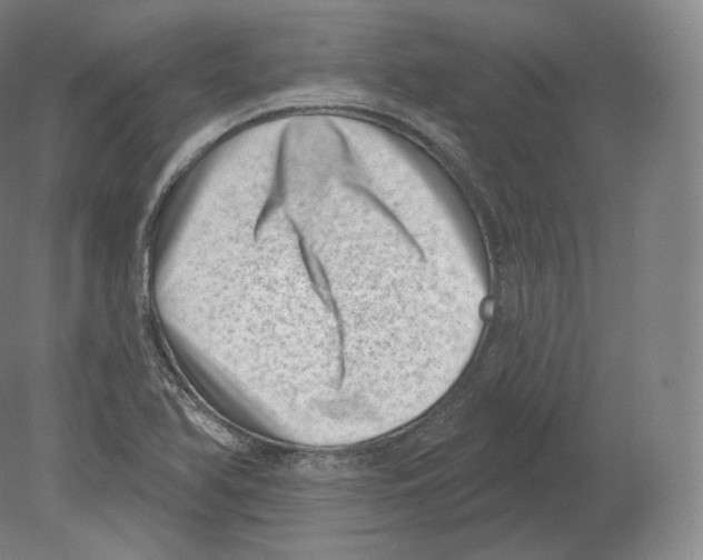 X0000080181366200701051646