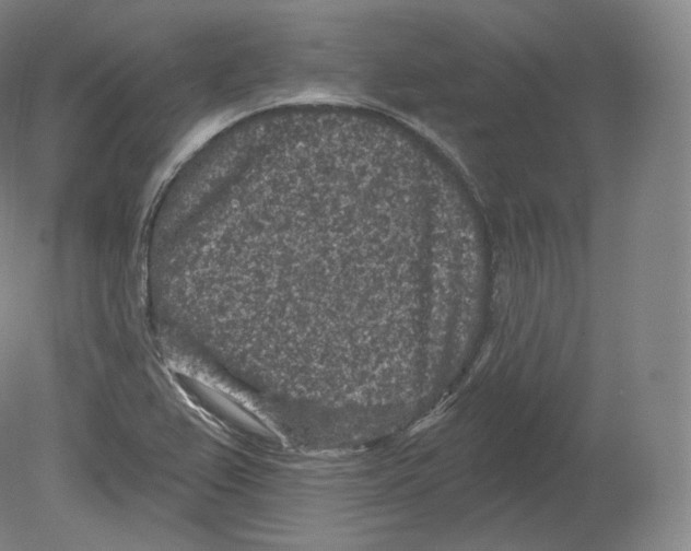 X0000080181367200701051646