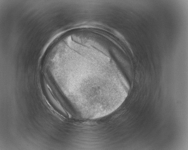 X0000080181368200701051646