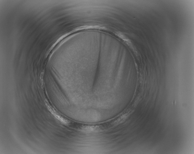 X0000080181369200701051646