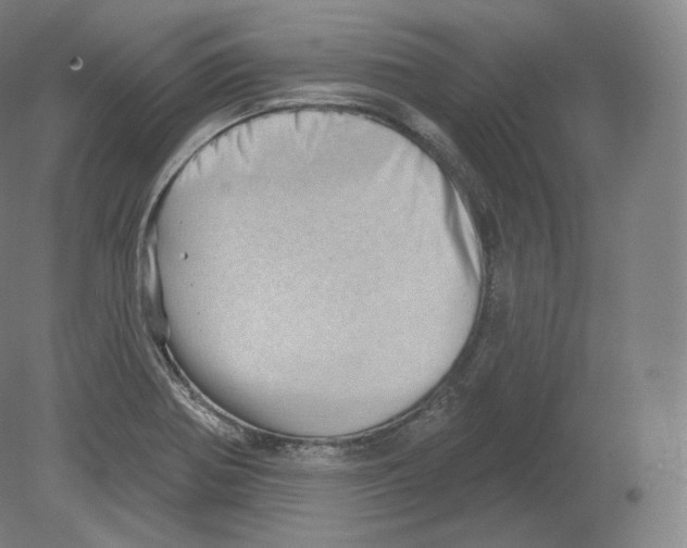 X0000080181370200701051646