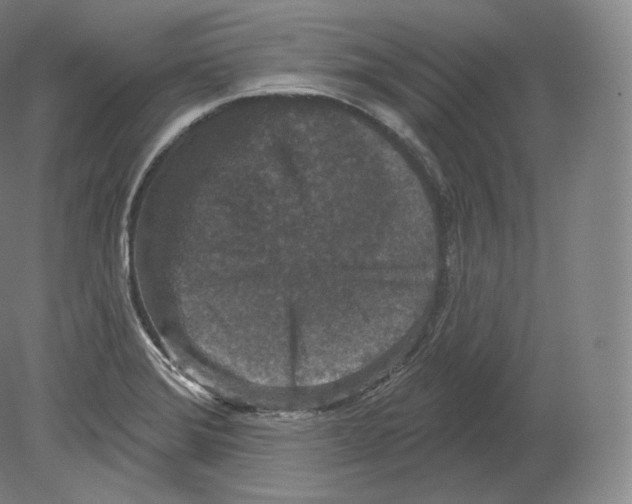 X0000080181372200701051646