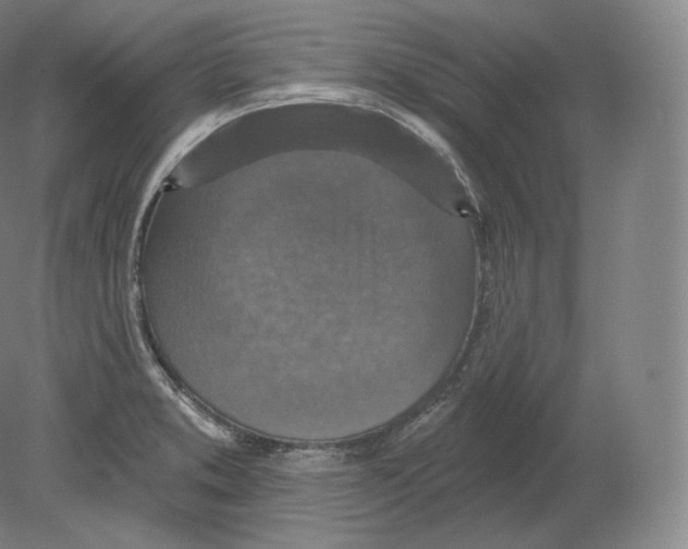 X0000080181373200701051646