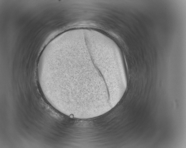 X0000080181374200701051646