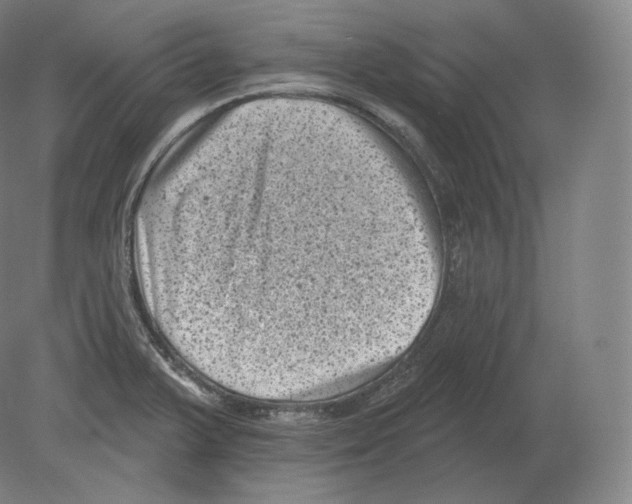 X0000080181375200701051646