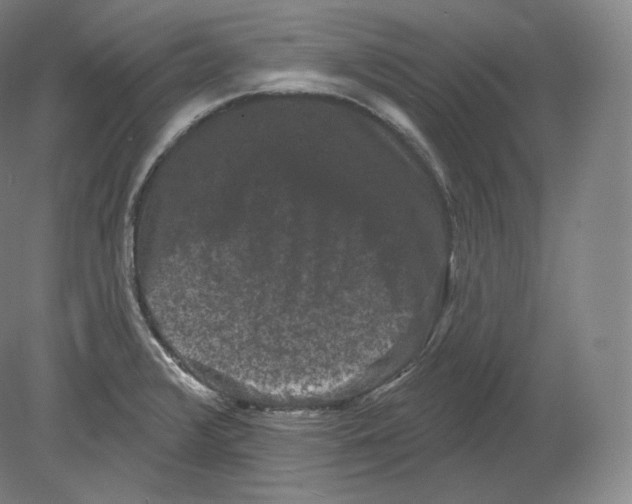 X0000080181376200701051646