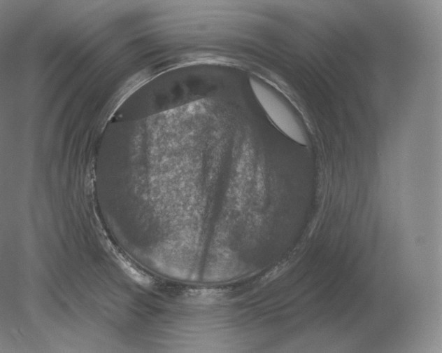 X0000080181377200701051646