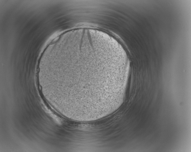 X0000080181379200701051646