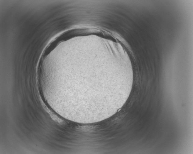 X0000080181380200701051646