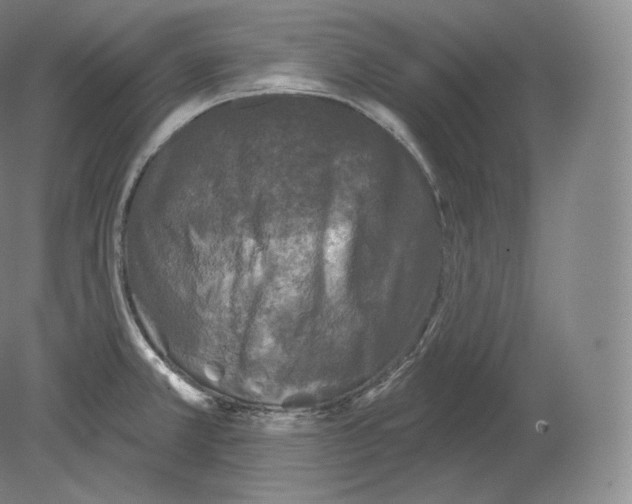 X0000080181381200701051646