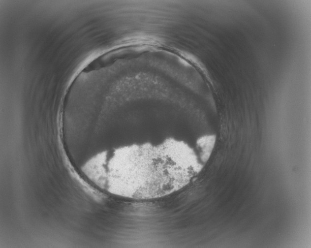 X0000080181383200701051646