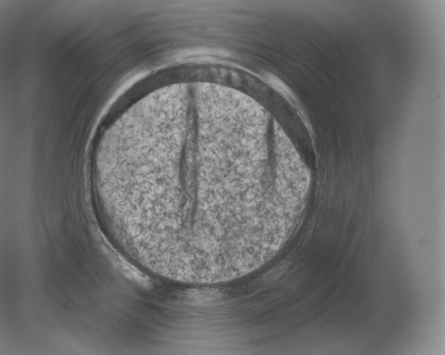 X0000080181384200701051646