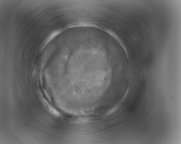 X0000080181385200701051646