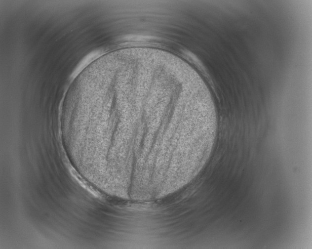 X0000080181386200701051646