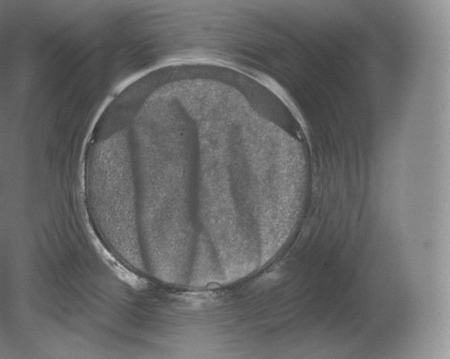 X0000080181388200701051646